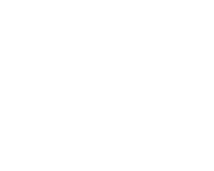 Five Star Tamarindo Luxury Rentals Logo